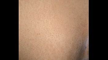 Ayam Bangun Dan Kalkun Masuk