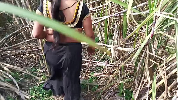 Desi Step Aunty Khet Mein Khule Aasman Ke Niche Chudai Karte Hue